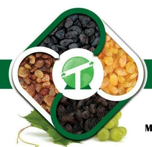 Taj Trading Company Logo